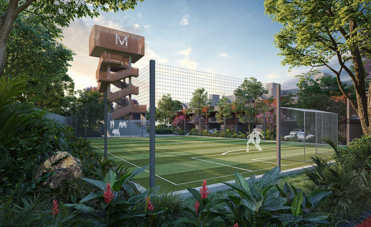 soulace Football Field