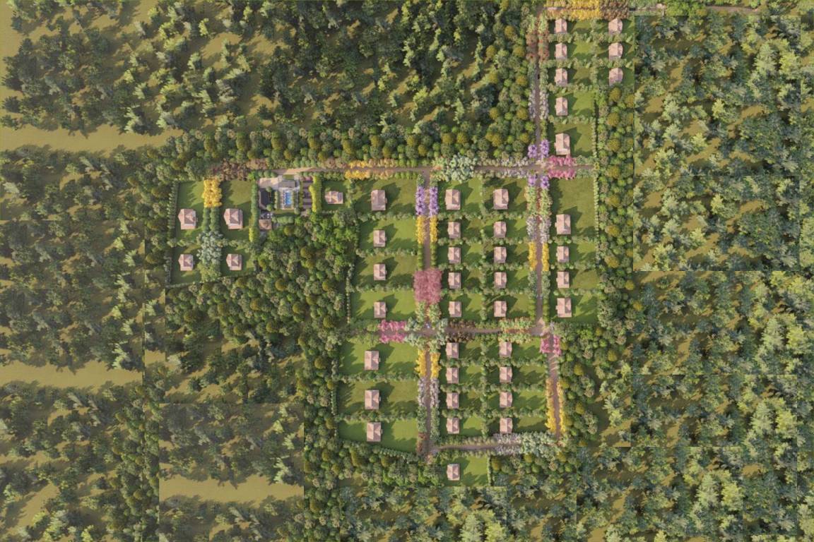 Elevation crystal farms Elevation