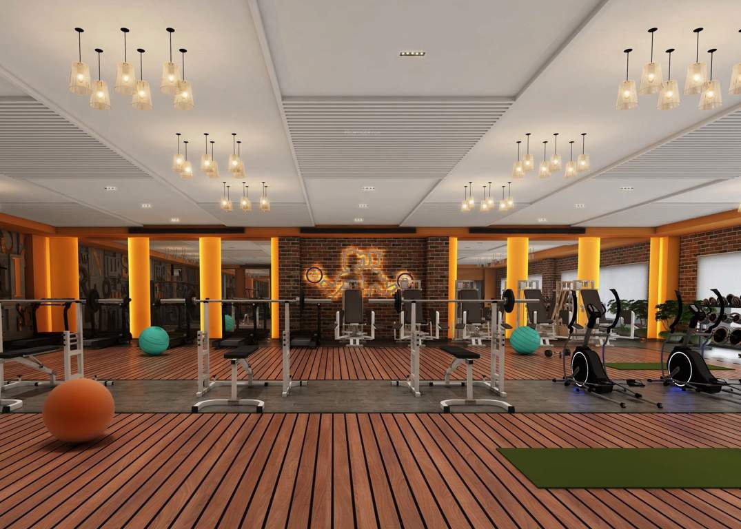  gv the grand Gymnasium