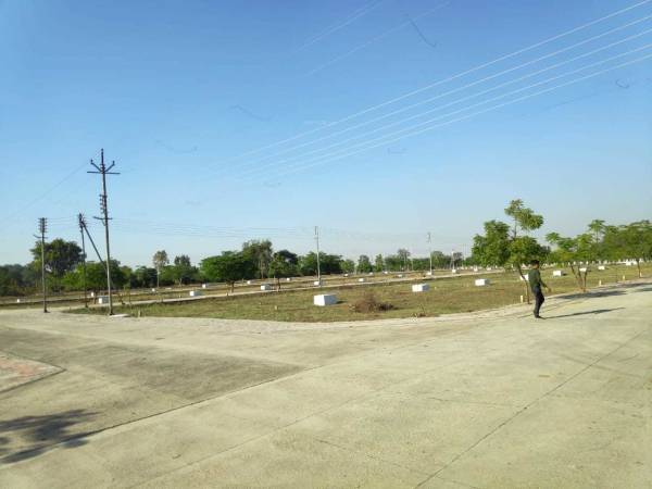 Plot silver-pride Plot