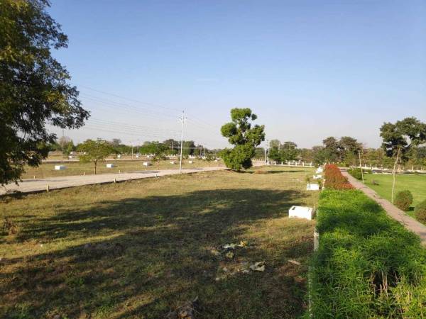 Plot silver-pride Plot