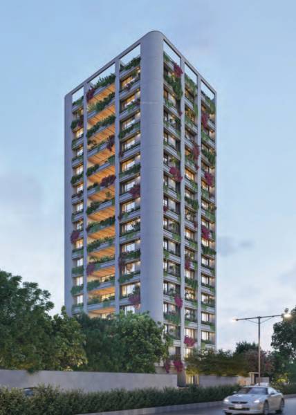 Elevation olive-xiv Elevation