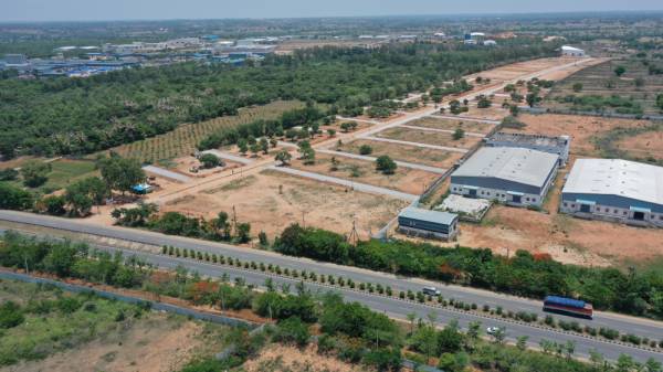  the-highway-orchards Plot