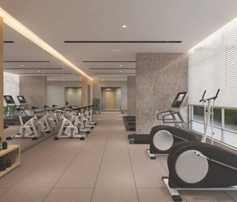  drushti emerald Gymnasium