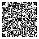  drushti-emerald Others