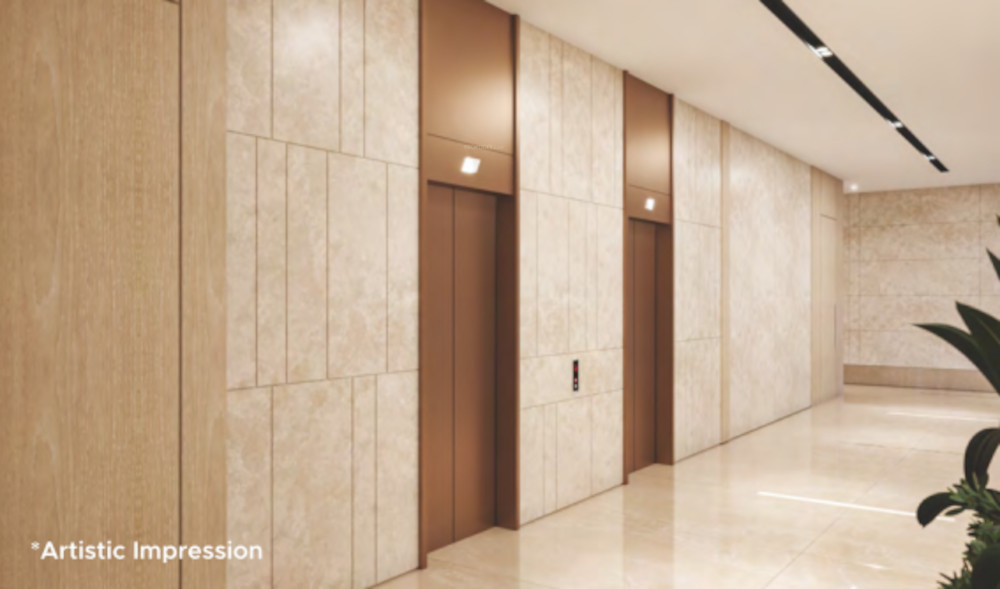  drushti emerald Others