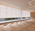  drushti-emerald Yoga/ Meditation Area