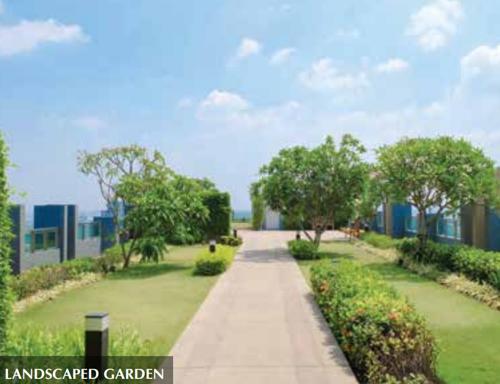  eden-b4 Landscape Garden and Tree Planting