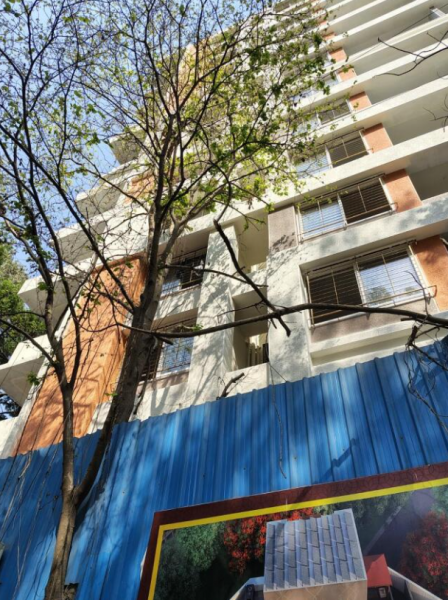  ankur Ankur Construction Status Apr-25