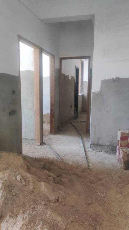 Palm Spring The Palm Paradise