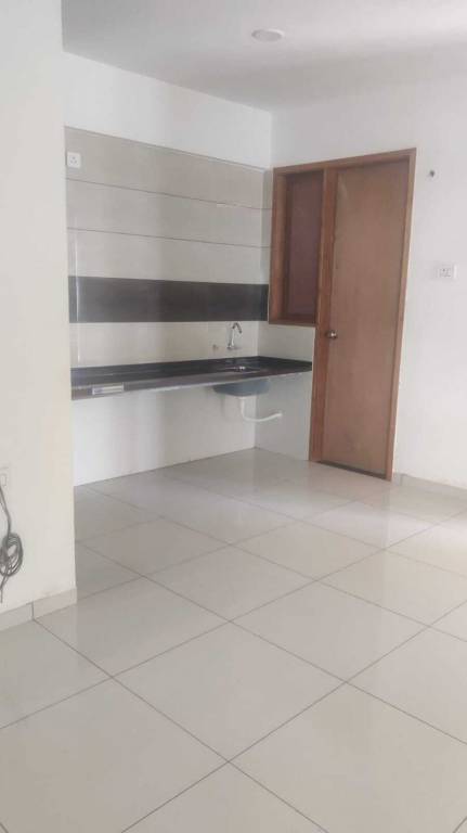 Palm Spring The Palm Paradise