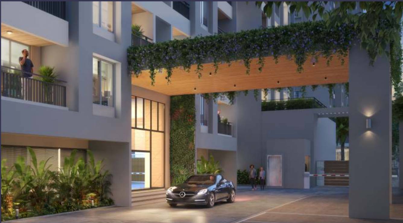  plumeria Paved Compound