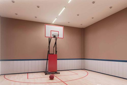  the-altitude Basketball Court