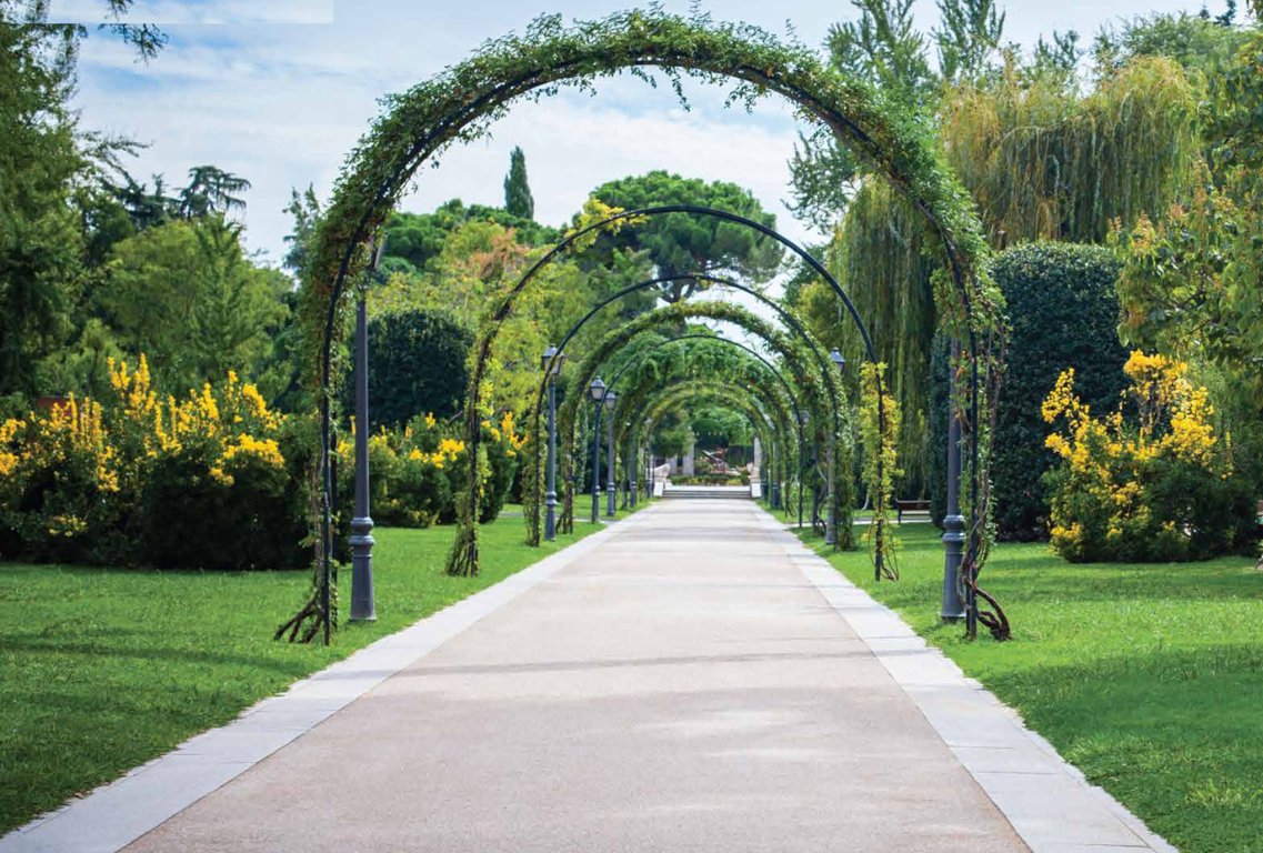 divino Landscape Garden and Tree Planting