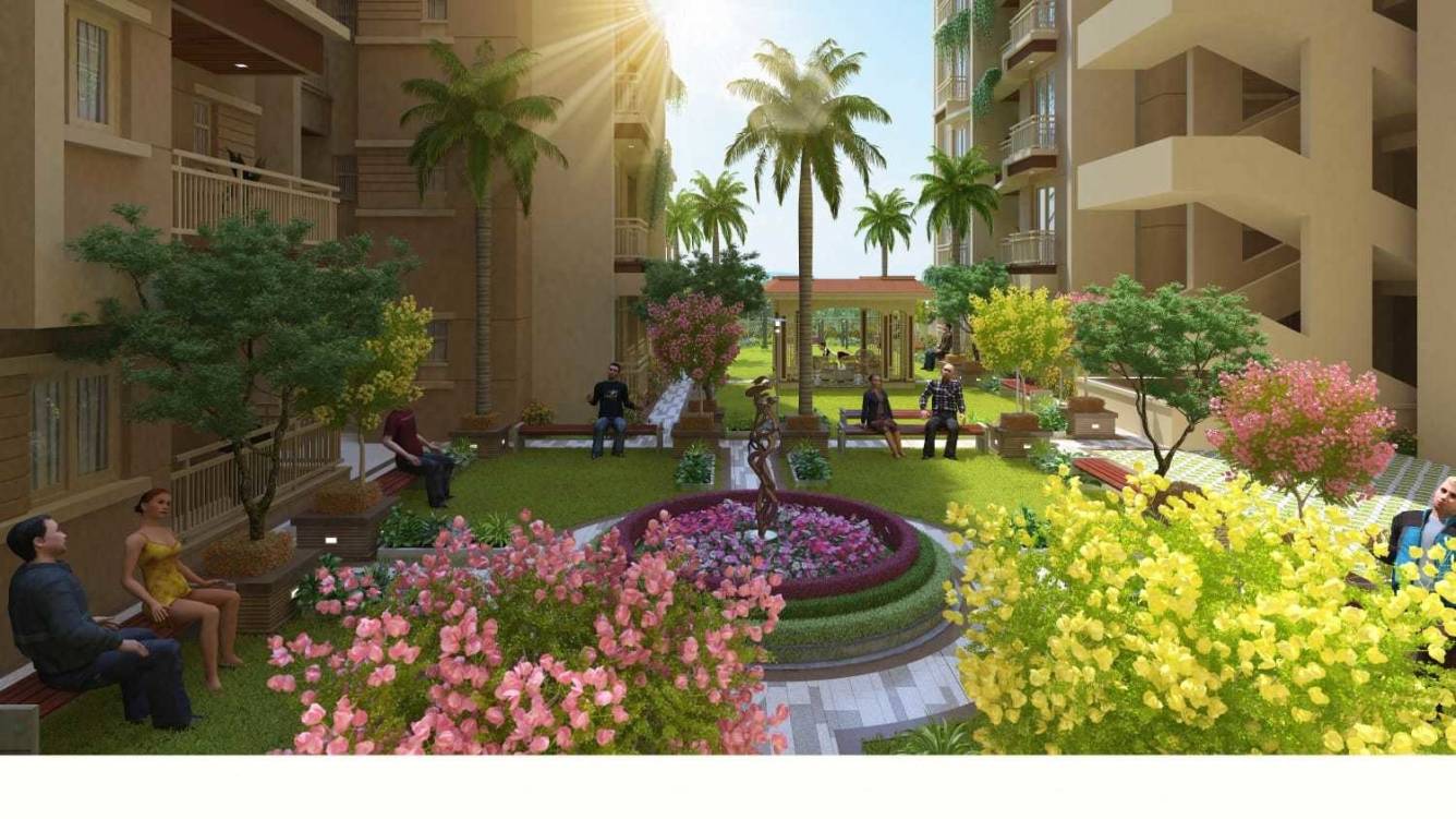  the century elite Others