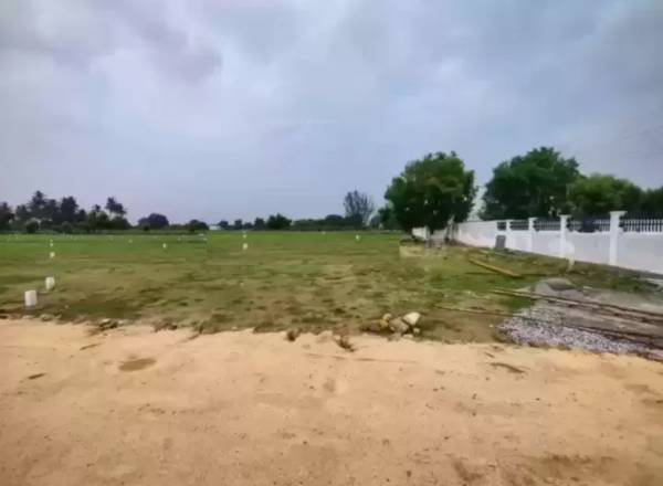  jade-jubliance Elevation