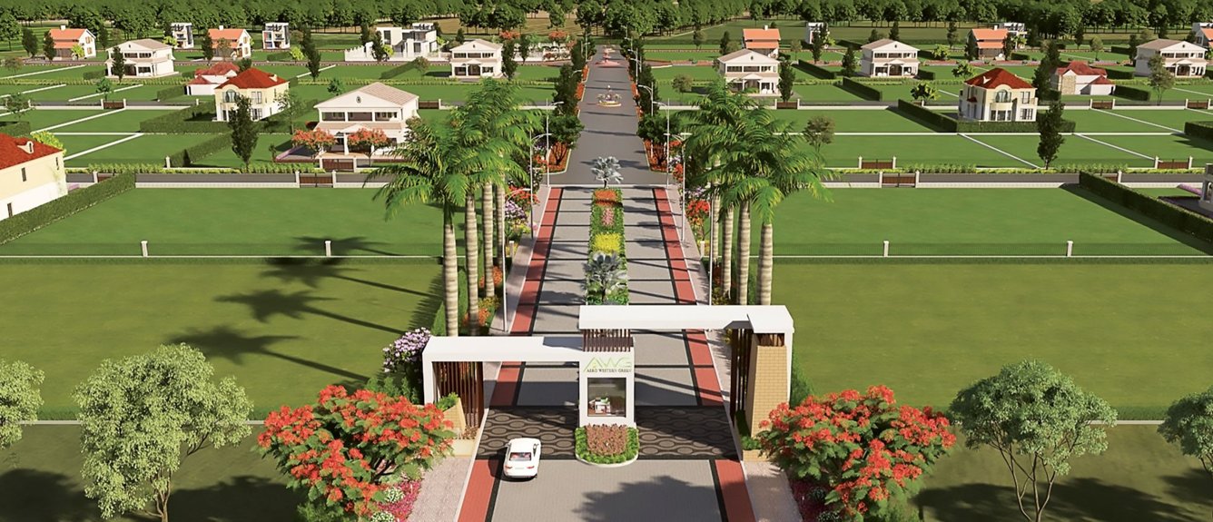  aero western green Elevation