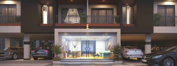 Elevation gardenia Elevation