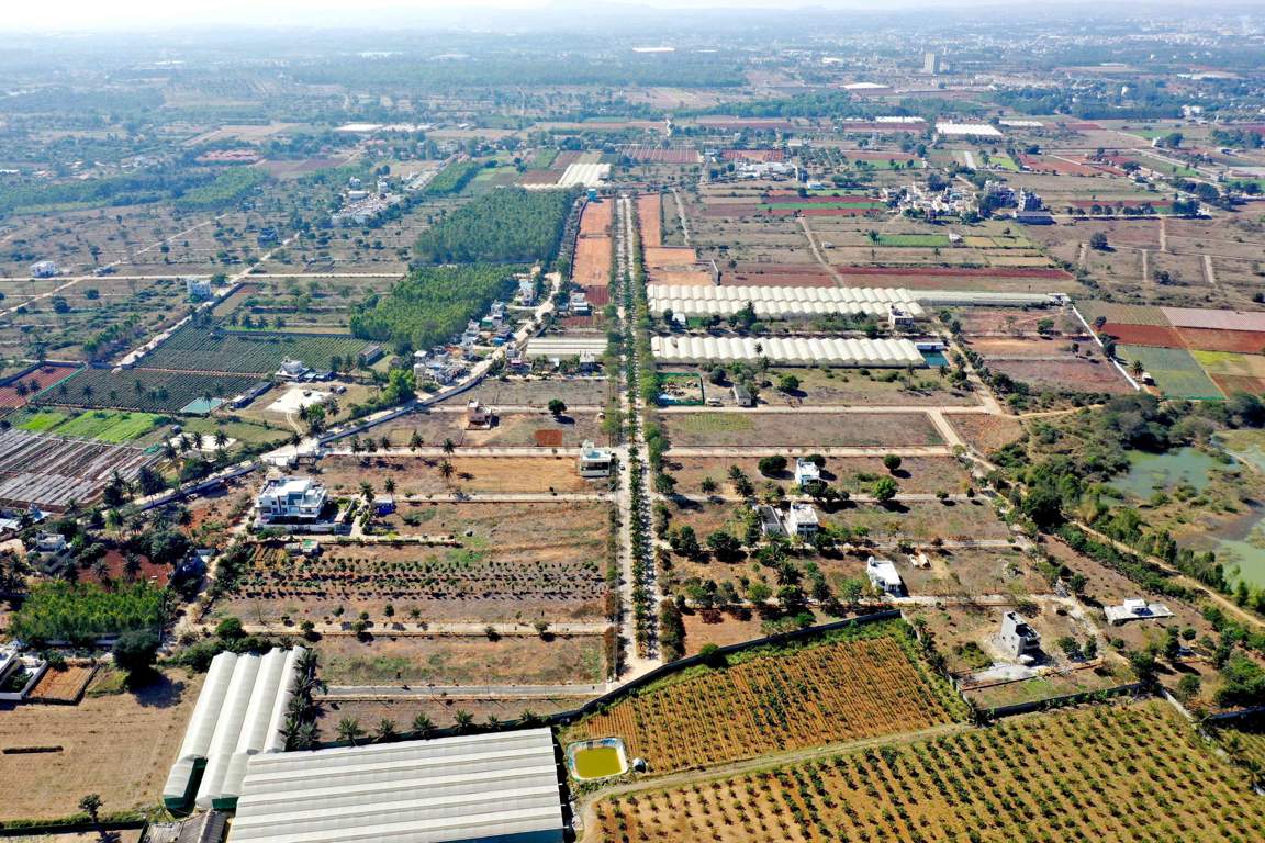 Ceyone GKS 1000 Woods