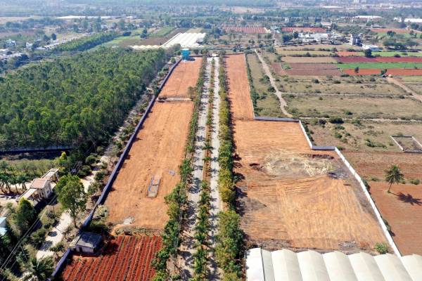 Elevation main of Ceyone GKS 1000 Woods