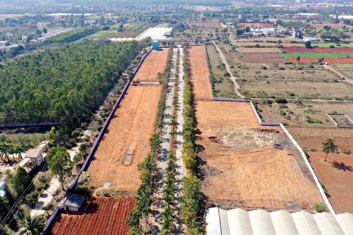 Ceyone GKS 1000 Woods