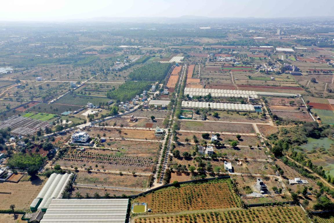 Ceyone GKS 1000 Woods