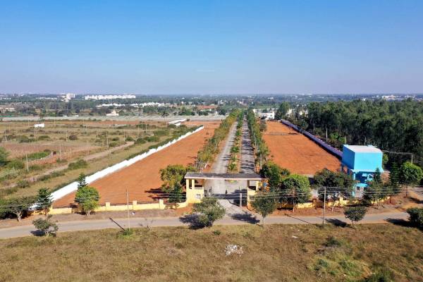  gks-1000-woods Elevation