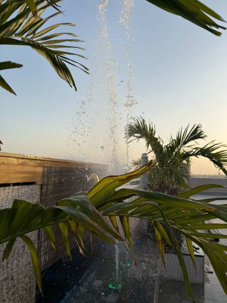  the-shyam-haveli Others