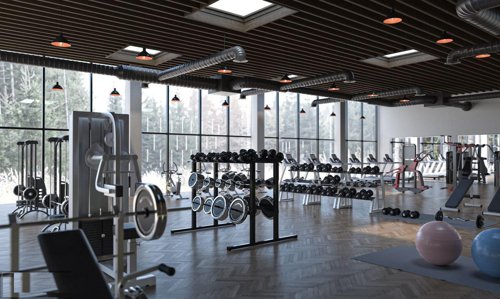  village-world Gymnasium