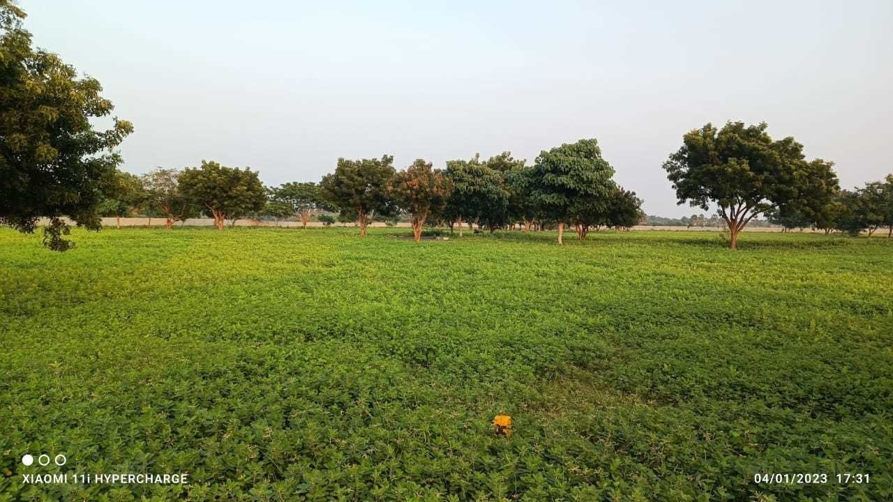 sendhur nagar Plot