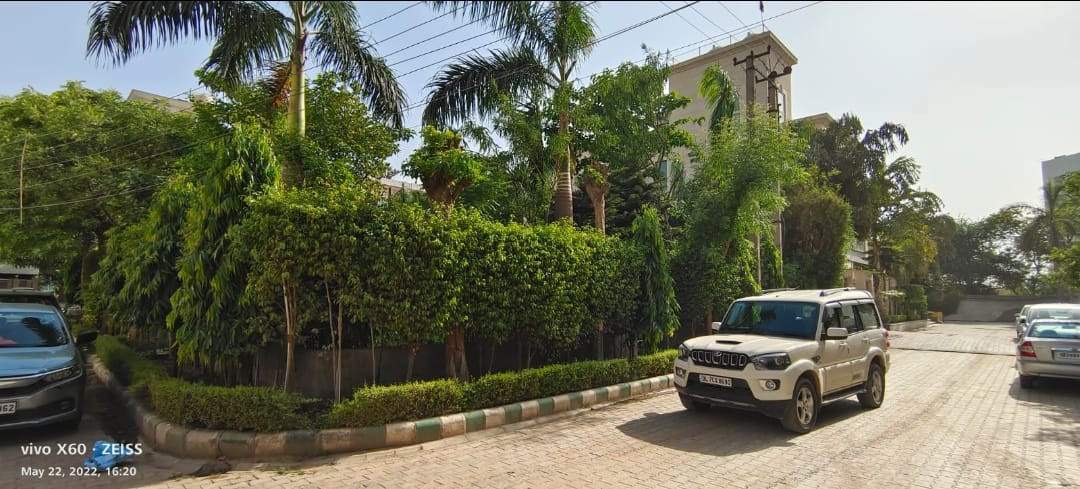  home south city 1 Landscape Garden and Tree Planting