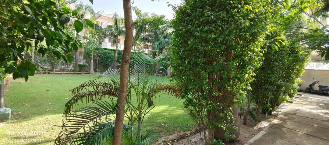  home south city 1 Landscape Garden and Tree Planting