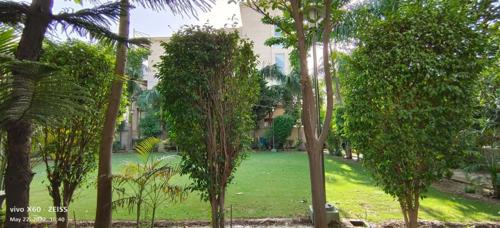  home-south-city-1 Landscape Garden and Tree Planting