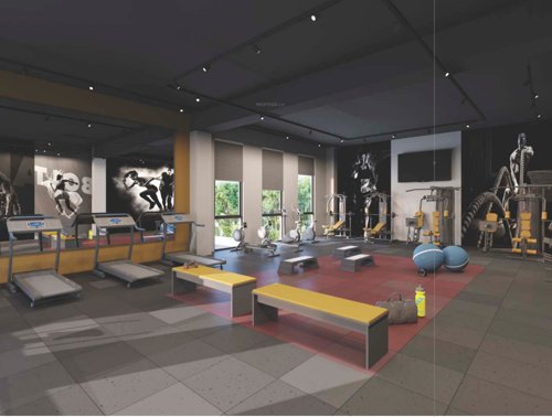  orchid-bloomberry Gymnasium