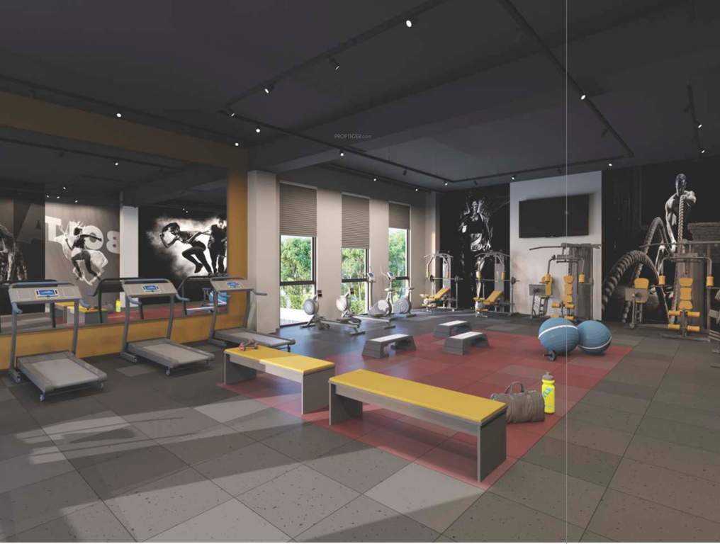  orchid bloomberry Gymnasium