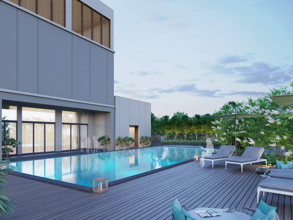  orchid bloomberry Swimming Pool