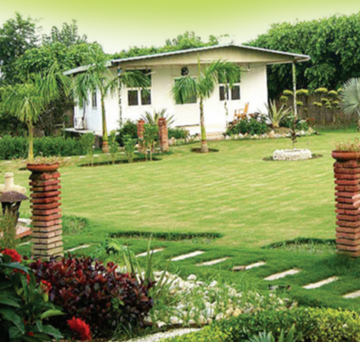  green-life Elevation