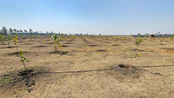  vihaara-farms Elevation