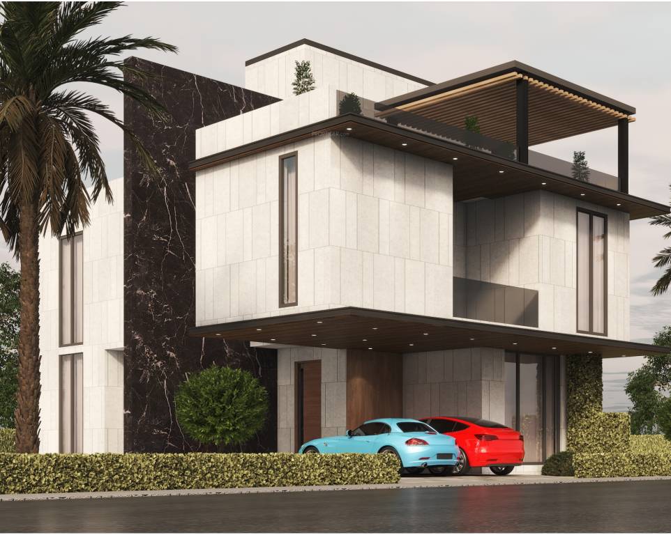 palm shore drive villas Elevation