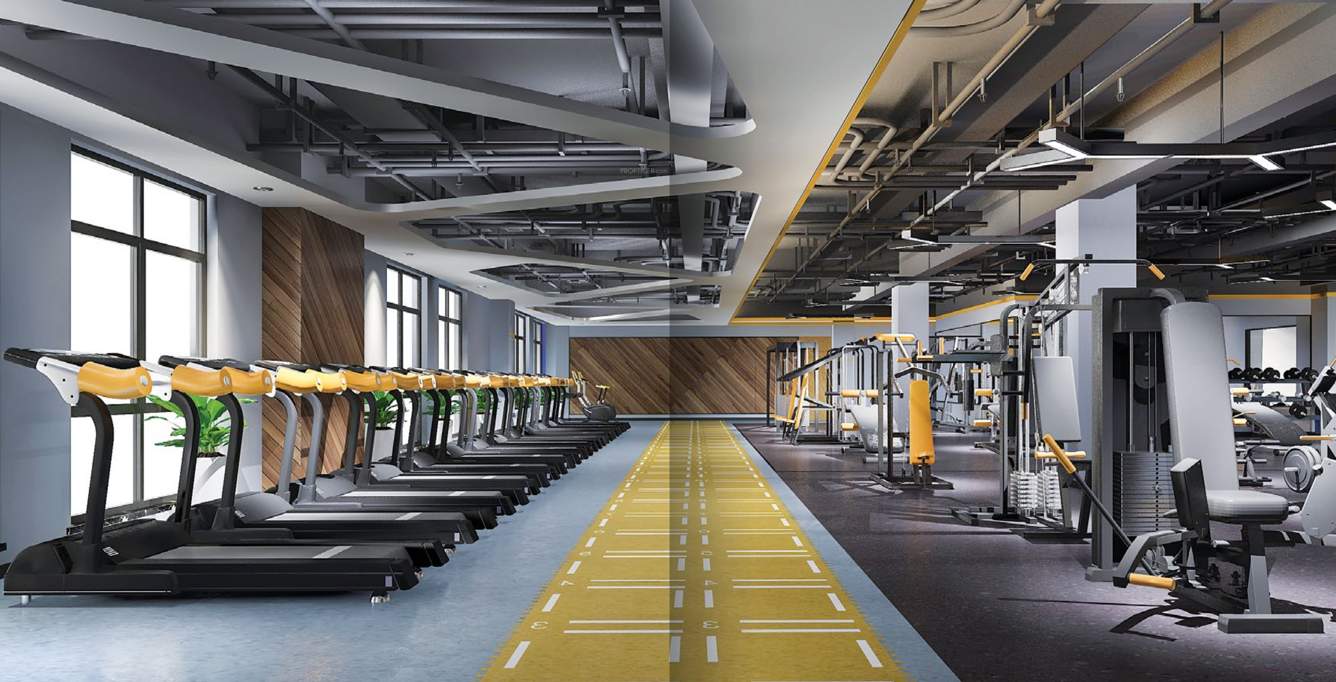 medalleo low rise Gymnasium