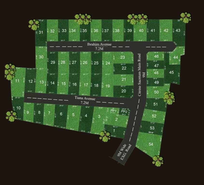  citrine sanctum Master Plan