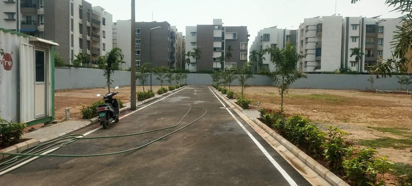  citrine sanctum Landscape Garden and Tree Planting