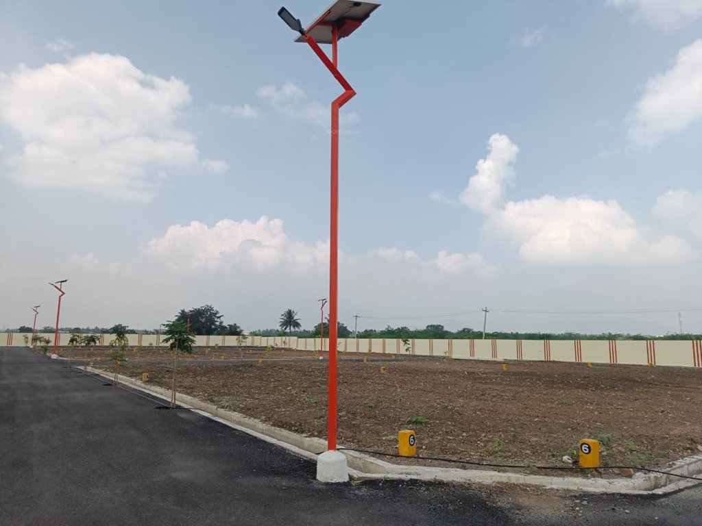  melbrook garden Plot