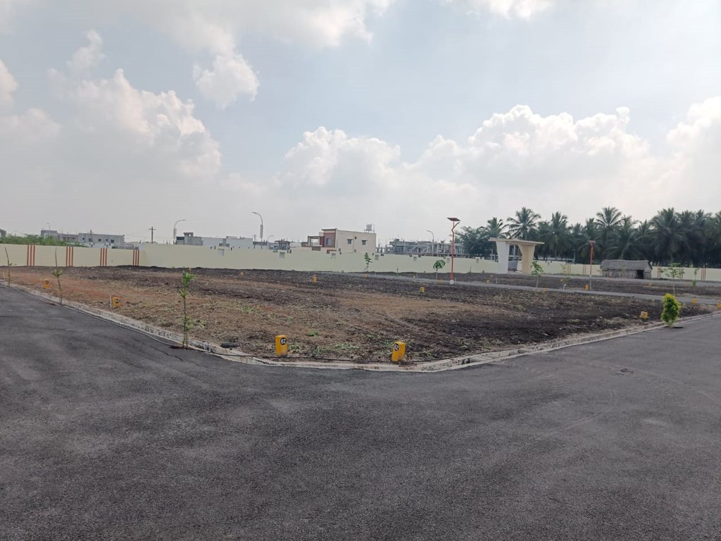  melbrook garden Plot