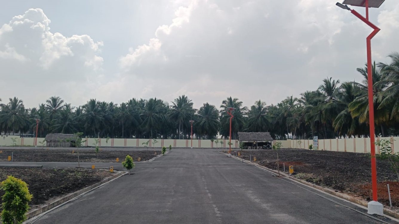  melbrook garden Plot