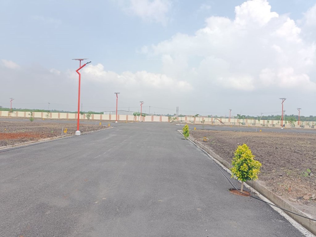  melbrook garden Plot