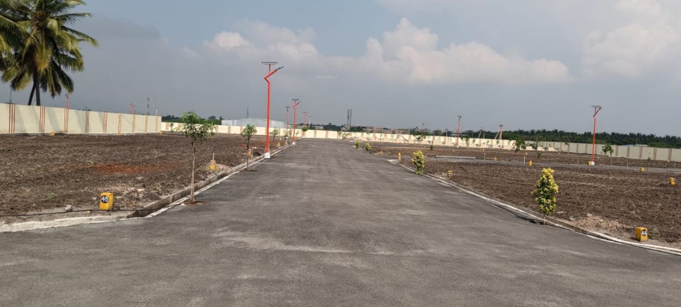  melbrook garden Plot