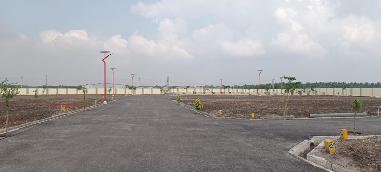  melbrook garden Plot