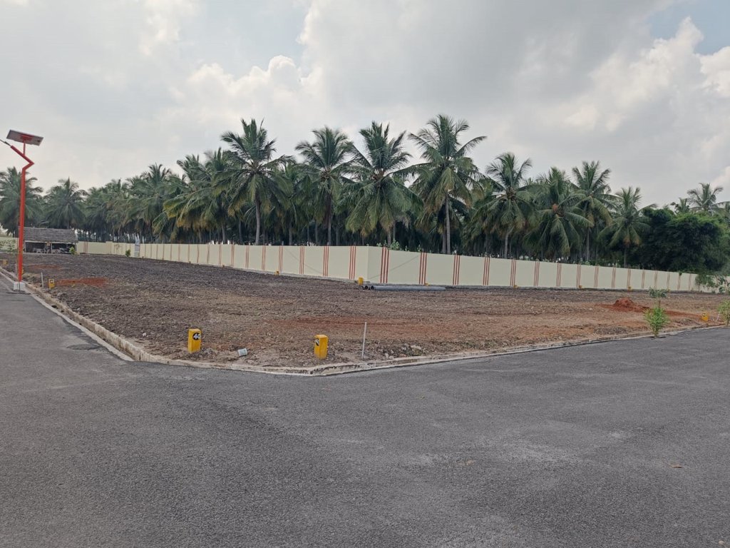  melbrook garden Plot