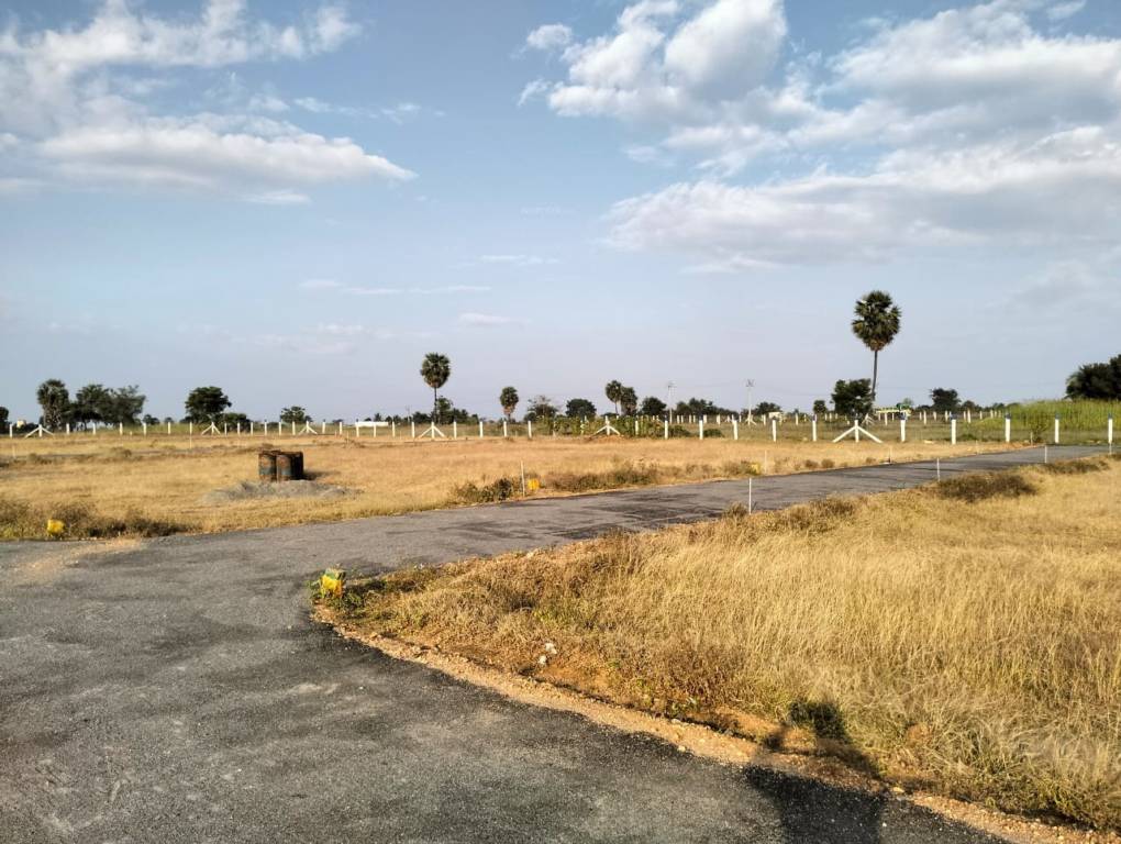  balaji garden Plot